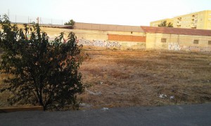 Barriomar. Suciedad y basura...