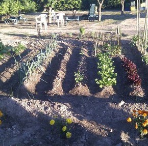 La Junta Municipal de El Puntal pone a disposición de los vecinos más de 1.200 m2 para cultivar huertos de ocio