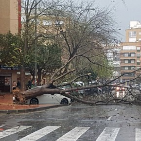 Cs lamenta que una nueva tormenta ponga en jaque al municipio de Murcia y colapse la ciudad de norte a sur