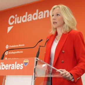 El PSOE veta la electrificación de la línea férrea Murcia-Chinchilla que Ciudadanos pidió en el Congreso